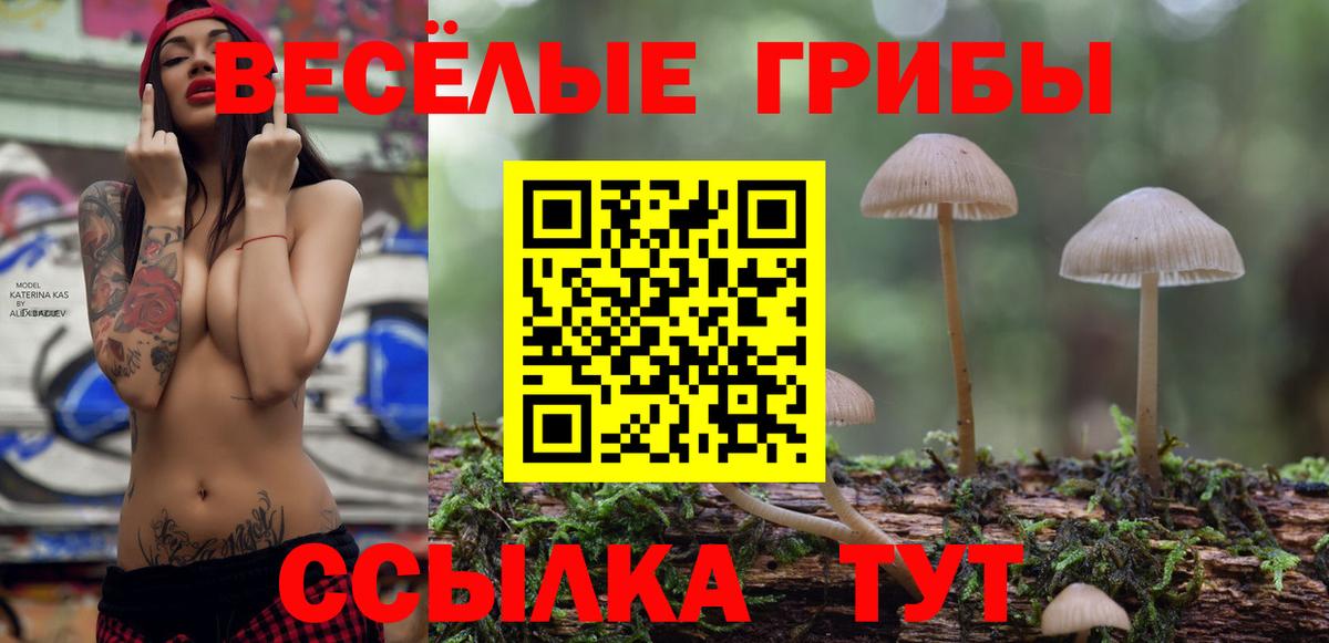 Галлюциногенные грибы Magic Shrooms Ялта